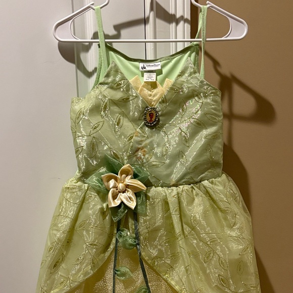 Disney Enchanted Green and Gold Fairy Costume - cruiseboatoman.com Disney Enchanted Green and Gold Fairy Costume - cruiseboatoman.com